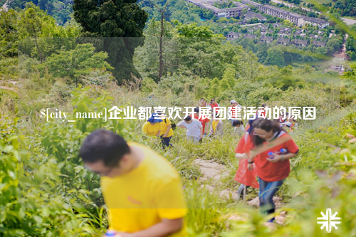怒江企业都喜欢开展团建活动的原因